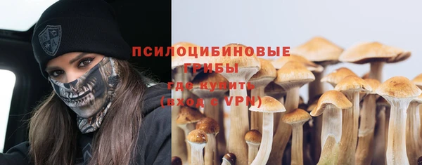 ешки Снежинск