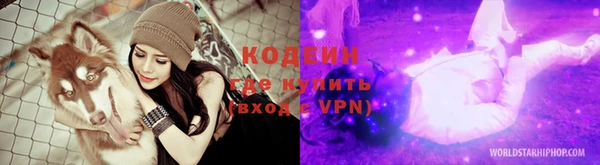 шишки Слюдянка