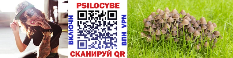 Псилоцибиновые грибы Psilocybine cubensis  где купить наркоту  Гвардейск 